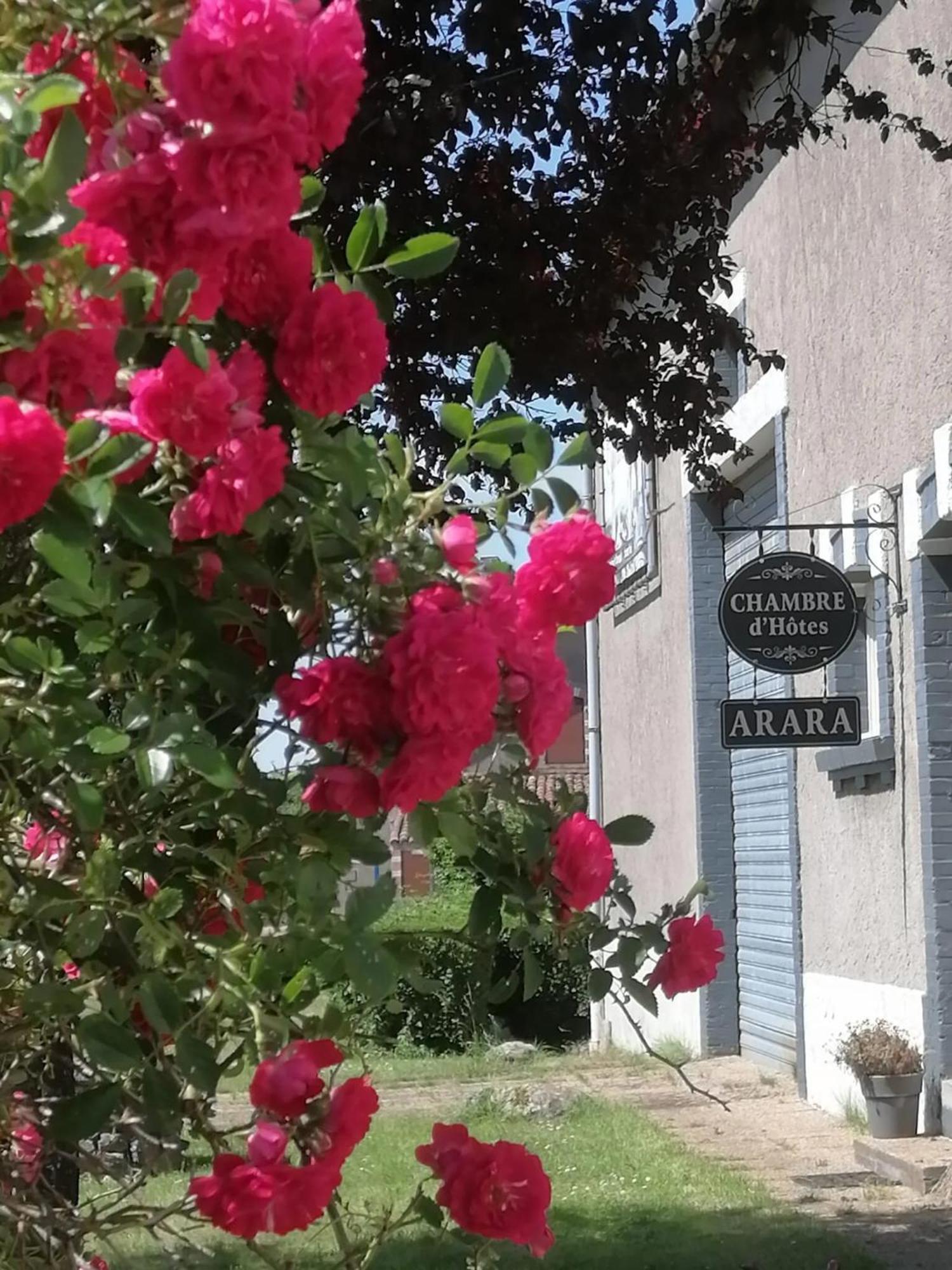 Montfaucon-d'Argonne Arara B&B 외부 사진